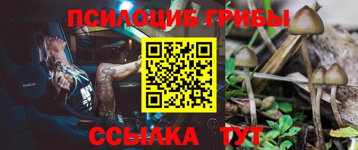 Псилоцибиновые грибы MAGIC MUSHROOMS  Вход с VPN  закладки  Братск 